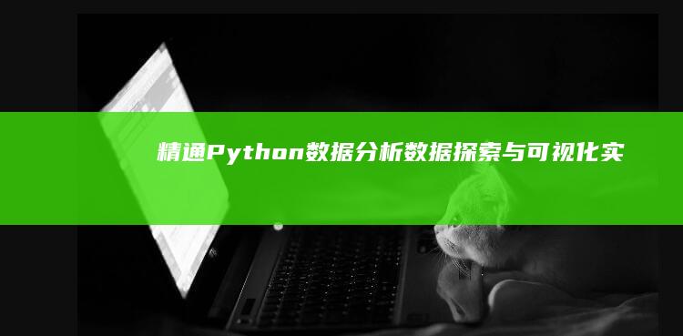 精通Python数据分析：数据探索与可视化实战指南